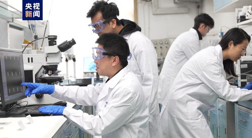 我國科研人員實現二維金屬碲化物材料宏量制備，助力材料科學規?；瘧? />
</span>
<span id=
